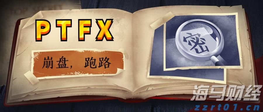 广东湛江：中华白海豚种群稳定 生态保护显成效