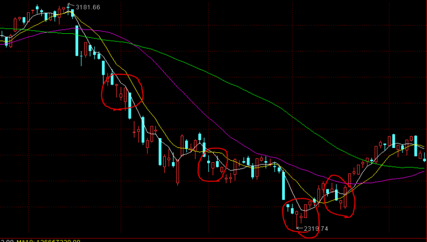 天下徽商与活力家乡的“双向奔赴”