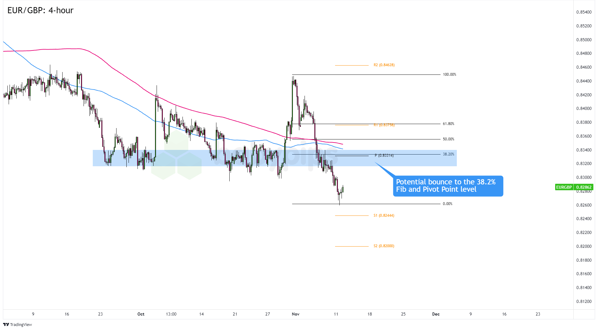 倒计时100天！我们“特”闪耀